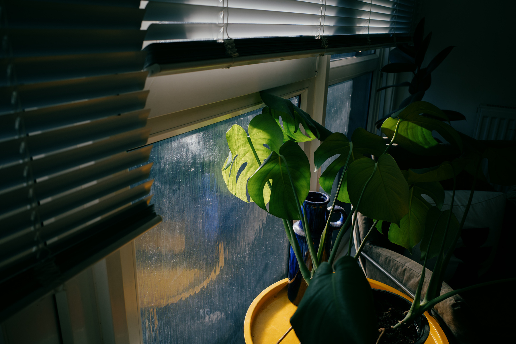 A monstera sitting on a yellow round side table by a window, with metal blinds in the foreground. The image is mostly dark apart from the light illuminating the plant and table.