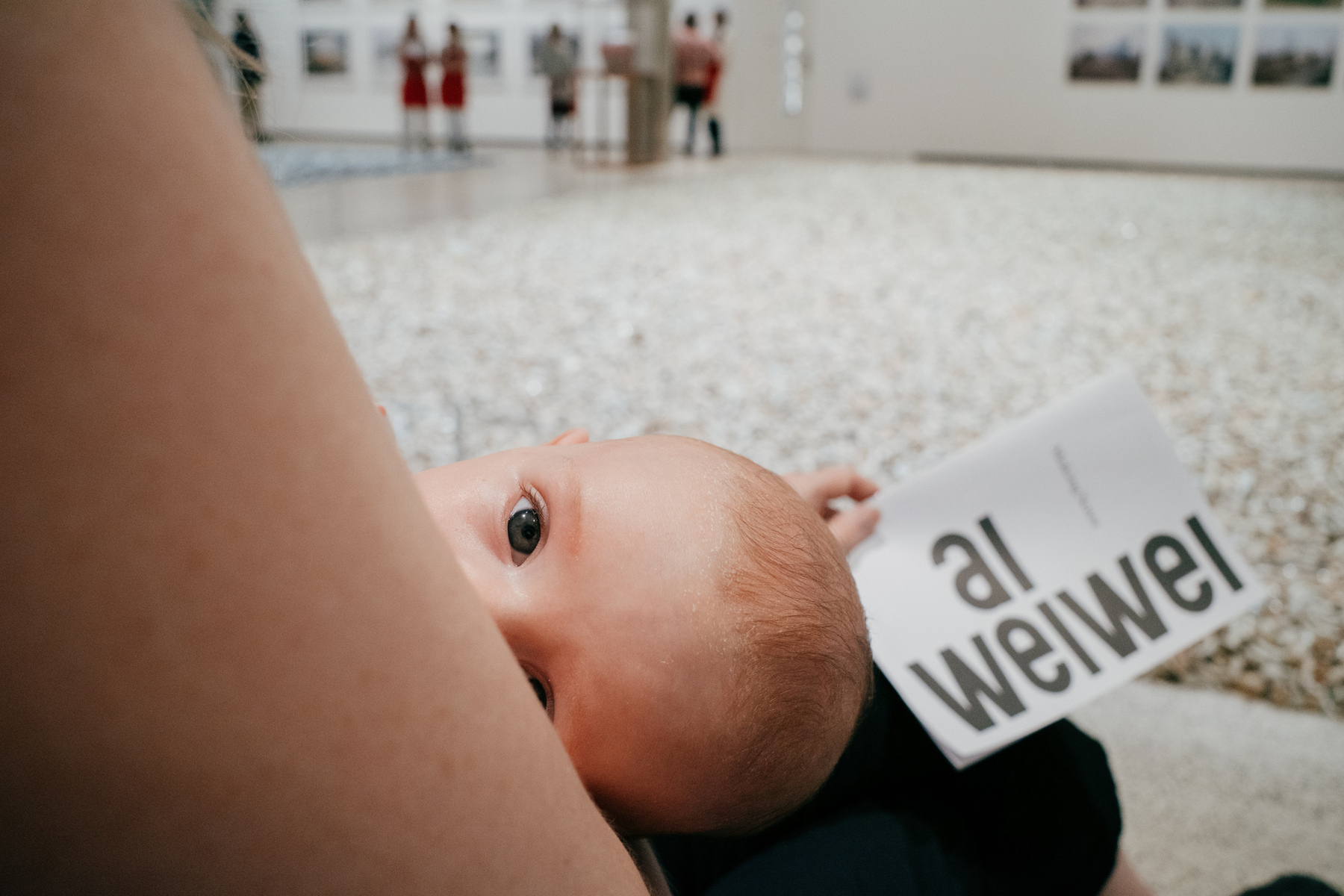 baby's face, mostly hidden by the back of an adult's arm. You can see one of the baby's eyes, and in the hand of the adult behind her head is a gallery booklet with Ai Wei Wei printed on it. The background shows a white gallery space with a large collection of ceramic pieces laid out on the floor. There are photographs on the far wall