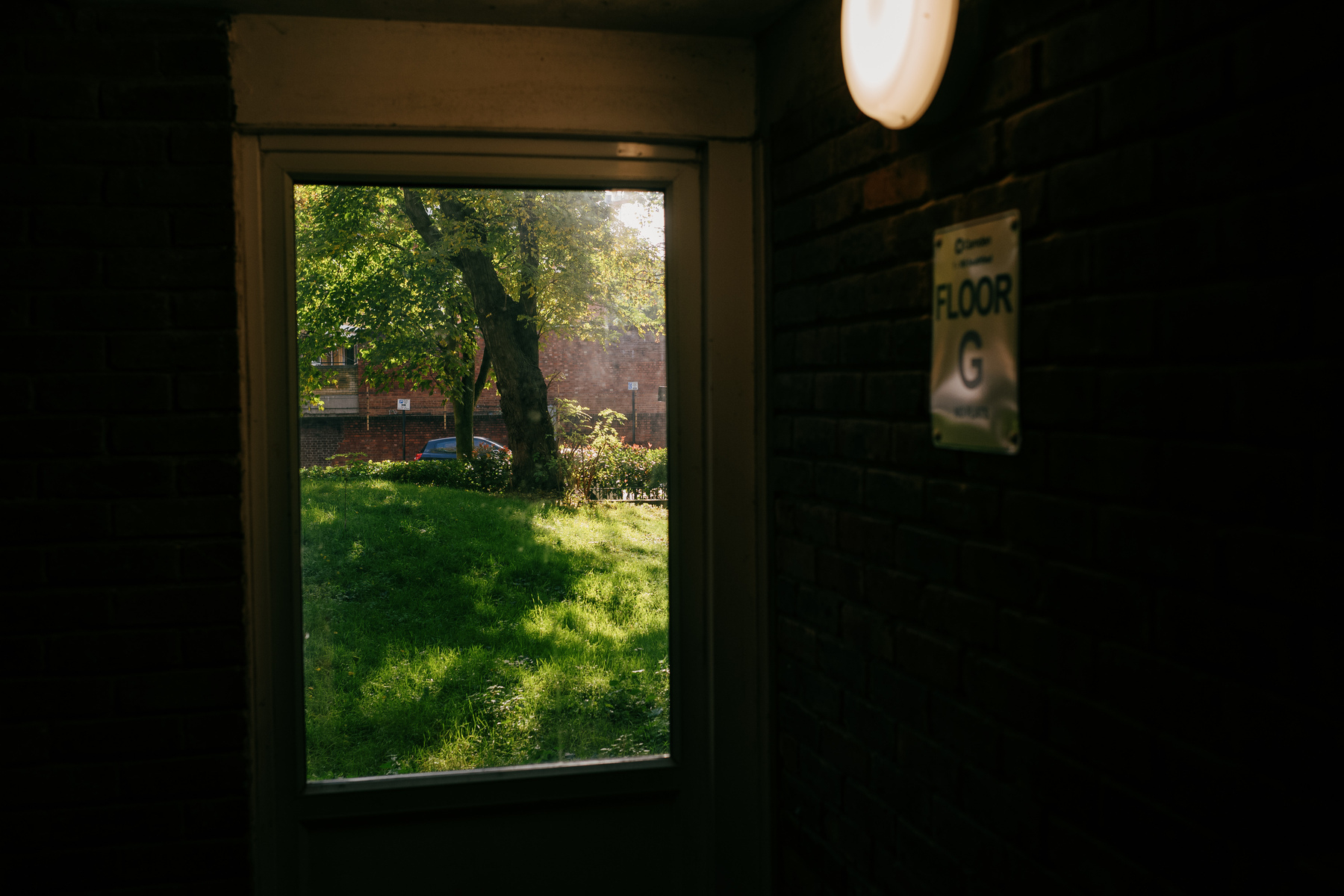 View through a ground floor window in local authority housing showing green grass and a tree with autumnal leaves backlit by sunshine. A round light and a 'ground floor' sign are visible on the righ hand brick wall.