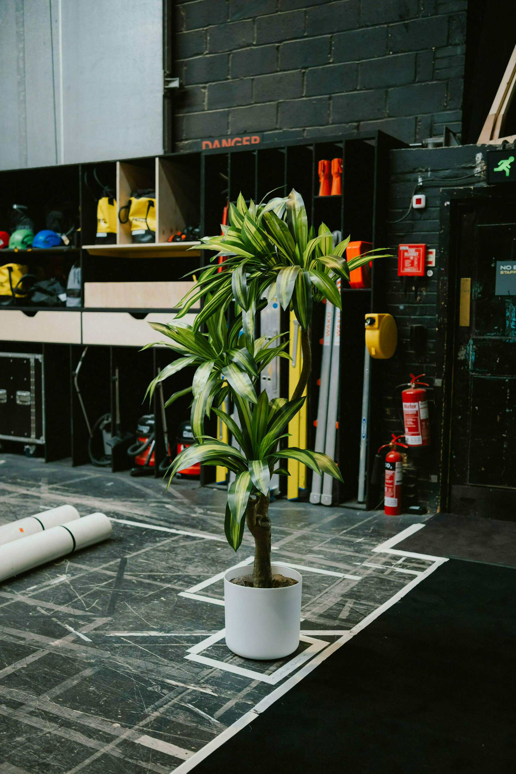 Large fake prop plant in pot backstage at the Old Vic theatre. The plant stands inside a square of white tape on the black floor. Writing on the tape says 'large plant'. There are various items in the black shelves behind the plant: rigging helmets, Henry vacuums, rope bags, and ladders 